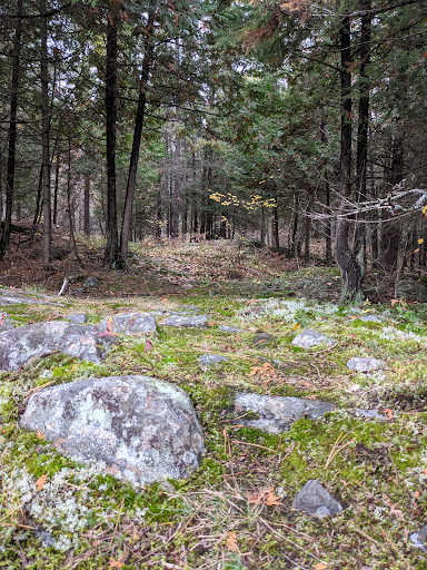 Photo of Laurier Woods Conservation Area - Brule St, North Bay, ON P1A 3Z5